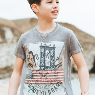 T-Shirts Boys K-Auburn Point Burnout T-Shirt in Pewter Grey Kids / 5-6 Years - Tokyo Laundry