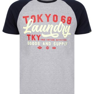 T-Shirts Catalyst Baseball Style Raglan Sleeve Crew Neck T-Shirt in Light Grey Marl / S - Tokyo Laundry