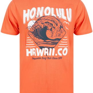 T-Shirts Honolulu Motif Cotton Jersey T-Shirt in Burnt Sienna Red - South Shore / S - Tokyo Laundry
