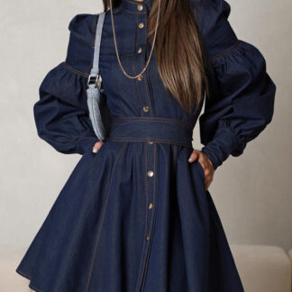 Denim Skater Dress Puff Sleeve Button-Up A-line Mini Dress For Women 2025