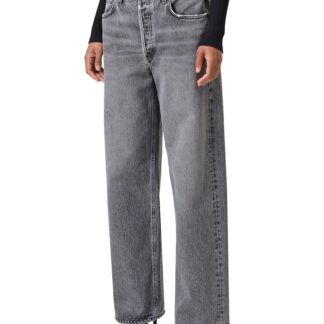 Agolde Low Slung Baggy Jeans in Spirit