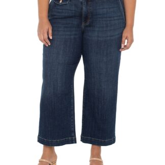 Liverpool Los Angeles Plus Stride High Rise Wide Leg Jeans in Albany