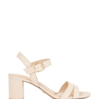 French Connection MERISA - 2 Part Block Heel Sandal Blush