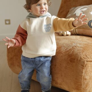 Hooded sweatshirt + jeans set for babies multicoloured