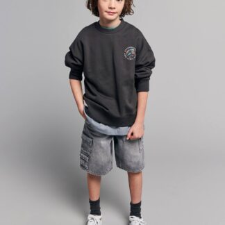 Skater Shorts, JONEN denim grey