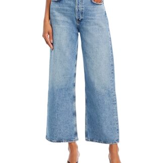 Agolde Ren High Rise Wide Leg Jeans in Disclosure
