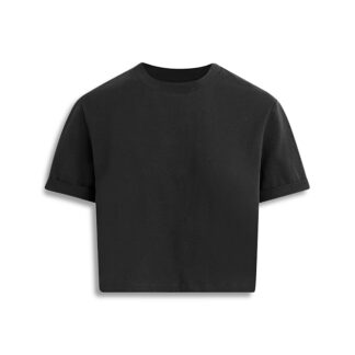 Joe's Jeans The Boxy Tee